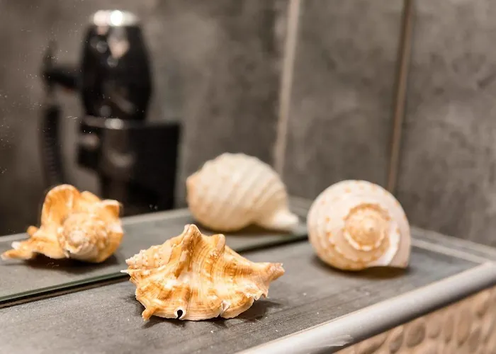 Megusta Nocleg ze śniadaniem 3*